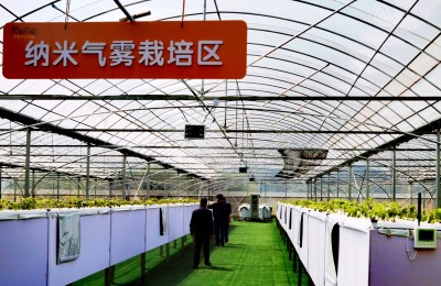 宁波胡陈土豆种在空气中，以乡村振兴引领农民共富